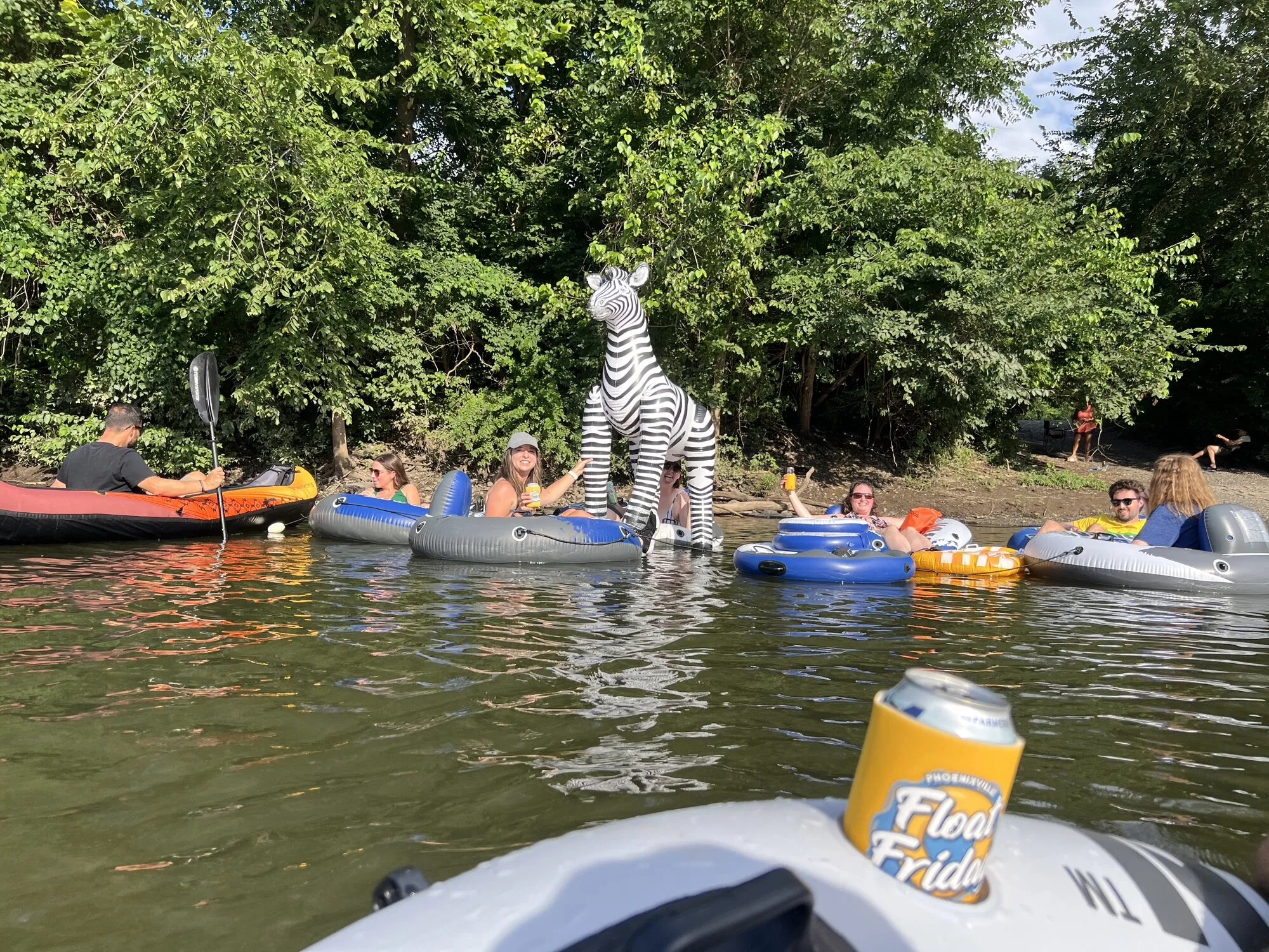 Friends floating with zebra and Float Friday beer