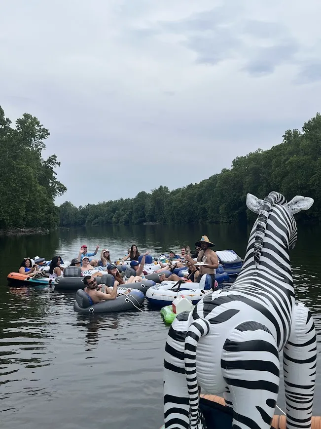 Inflatable zebra overlooking the flotilla on a calm river